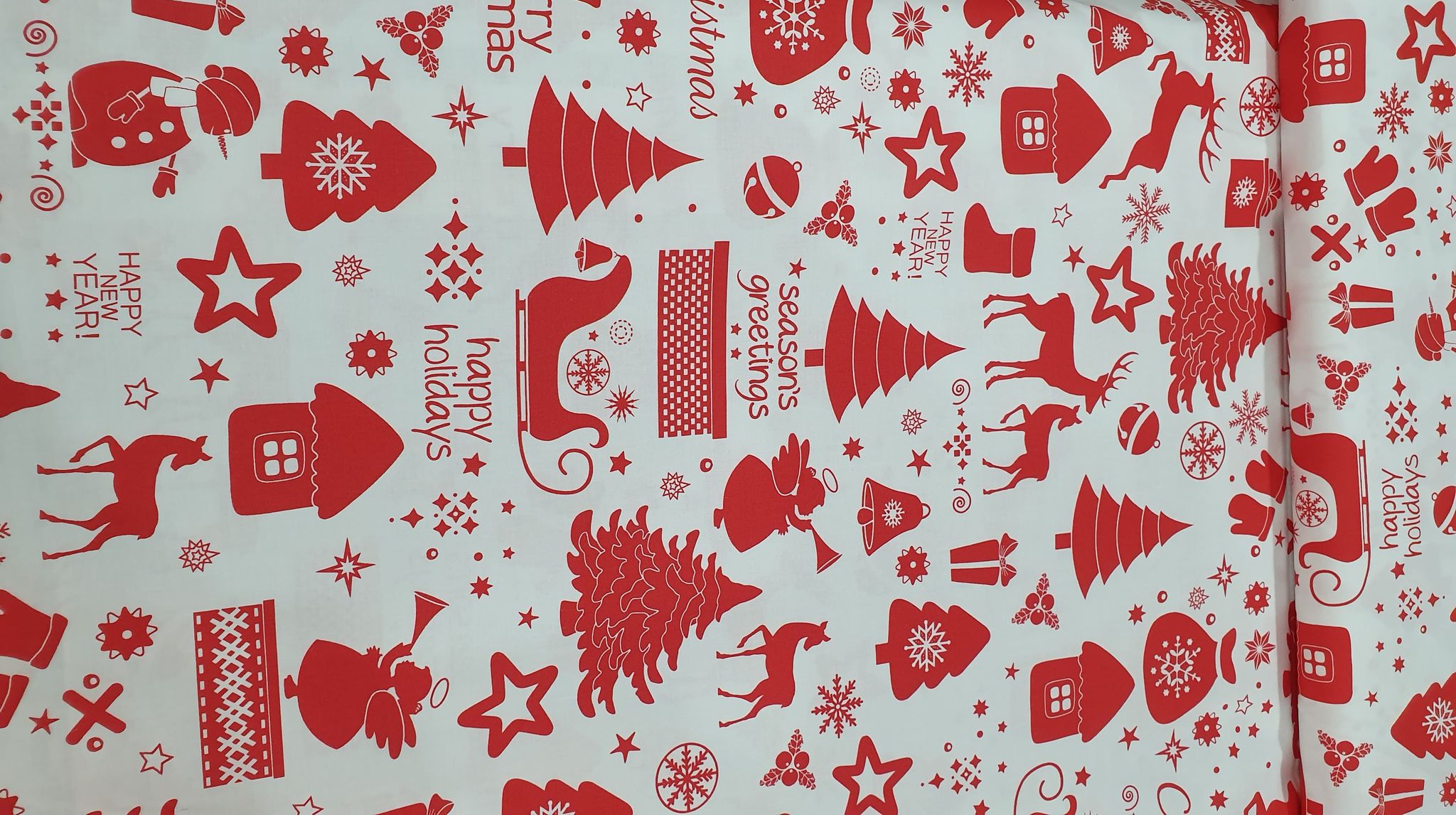 119049083_2411669202462982_1673187163106423682_n.jpg