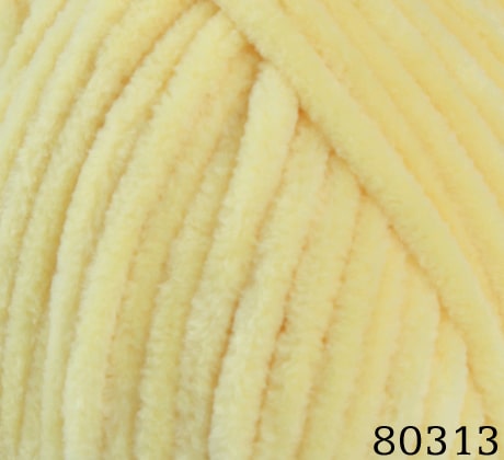 80313