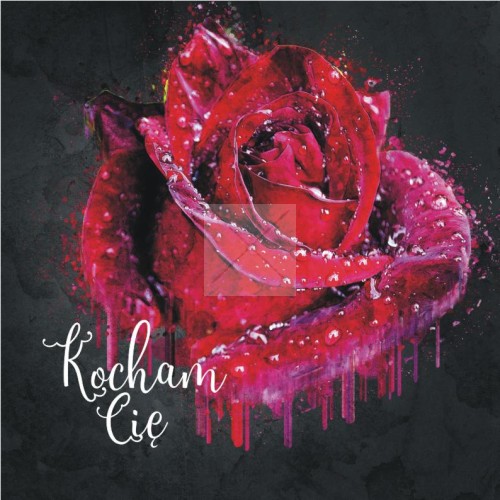 kocham-cie